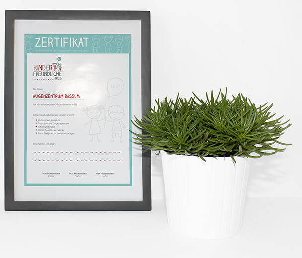 Das Zertifikat
